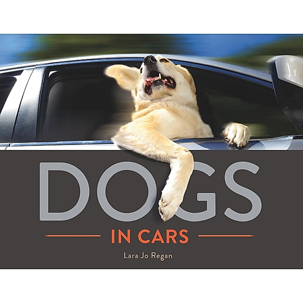 Dogs in Cars, Lara Jo Regan