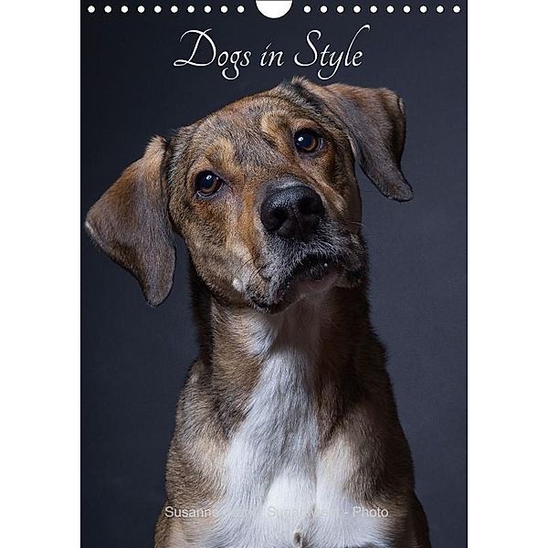 Dogs in Style (Wall Calendar 2017 DIN A4 Portrait), Susanne Stark