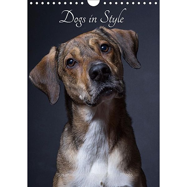 Dogs in Style (Wall Calendar 2021 DIN A4 Portrait), Susanne Stark Sugarsweet - Photo