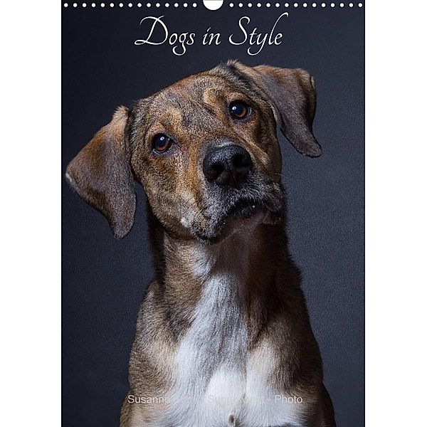 Dogs in Style (Wall Calendar 2023 DIN A3 Portrait), Susanne Stark  Sugarsweet - Photo