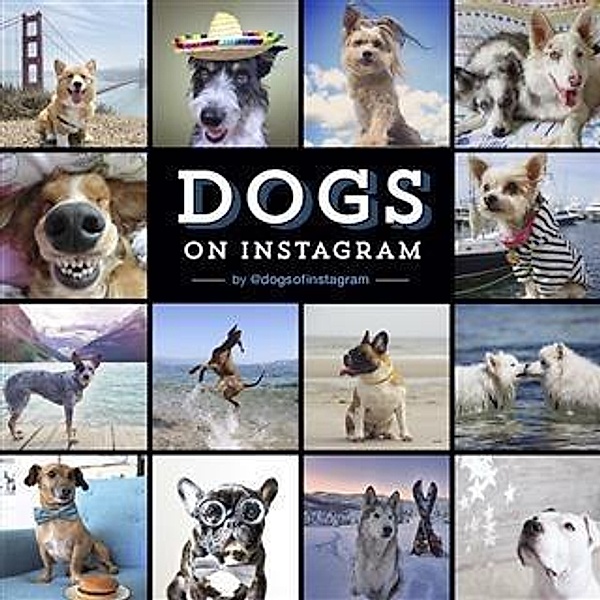 Dogs on Instagram, @dogsofinstagram