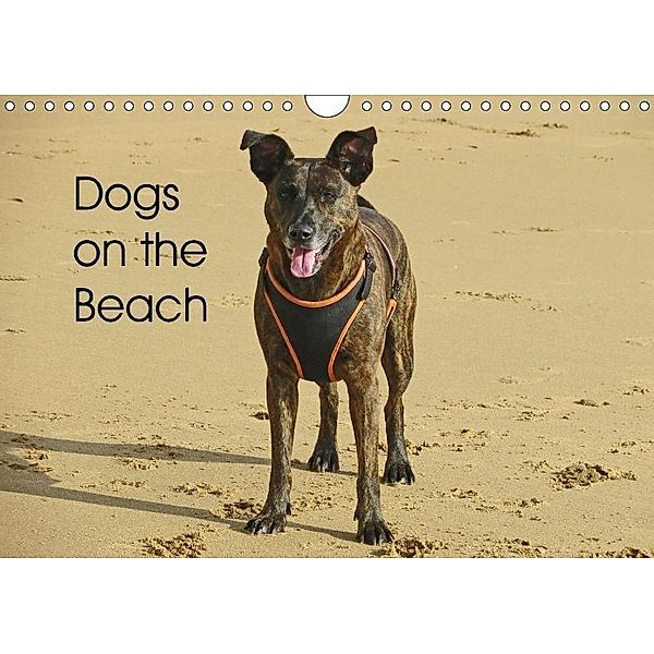 Dogs on the Beach (Wall Calendar 2017 DIN A4 Landscape), CrazyMoose, k.A. CrazyMoose