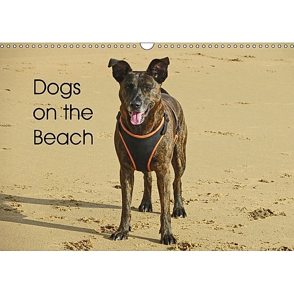 Dogs on the Beach (Wall Calendar 2018 DIN A3 Landscape), CrazyMoose