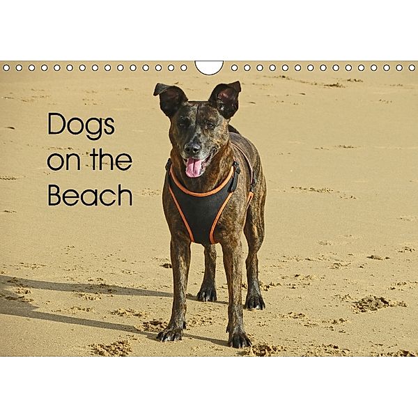 Dogs on the Beach (Wall Calendar 2018 DIN A4 Landscape), CrazyMoose