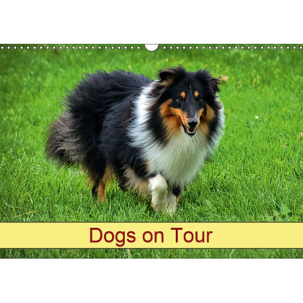 Dogs on Tour (Wall Calendar 2019 DIN A3 Landscape), kattobello