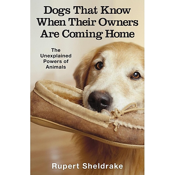 Dogs That Know When Their Owners Are Coming Home, Rupert Sheldrake