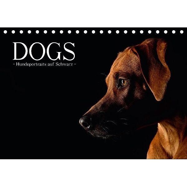 Dogs (Tischkalender 2017 DIN A5 quer), Nicole Noack