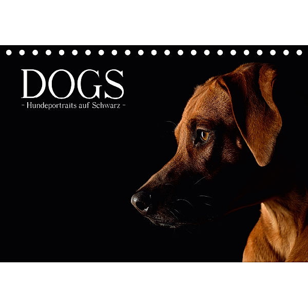 Dogs (Tischkalender 2019 DIN A5 quer), Nicole Noack