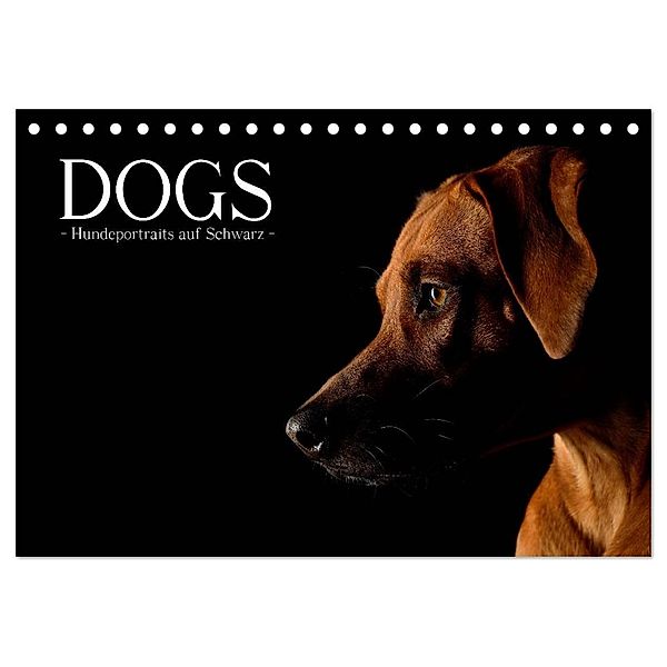 Dogs (Tischkalender 2024 DIN A5 quer), CALVENDO Monatskalender, Nicole Noack