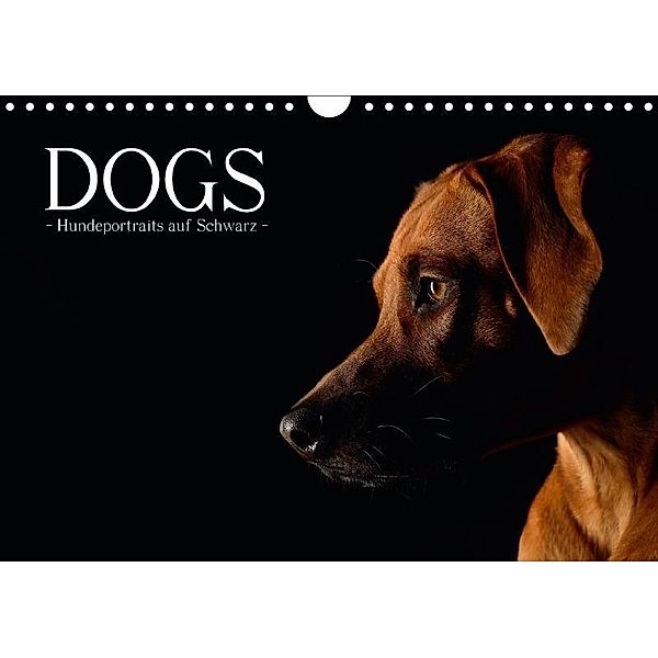 Dogs (Wandkalender 2017 DIN A4 quer), Nicole Noack