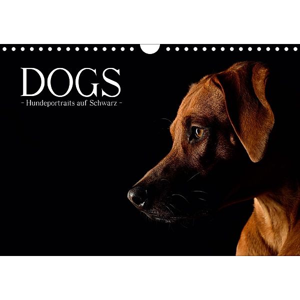 Dogs (Wandkalender 2020 DIN A4 quer), Nicole Noack