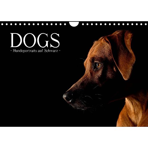 Dogs (Wandkalender 2023 DIN A4 quer), Nicole Noack