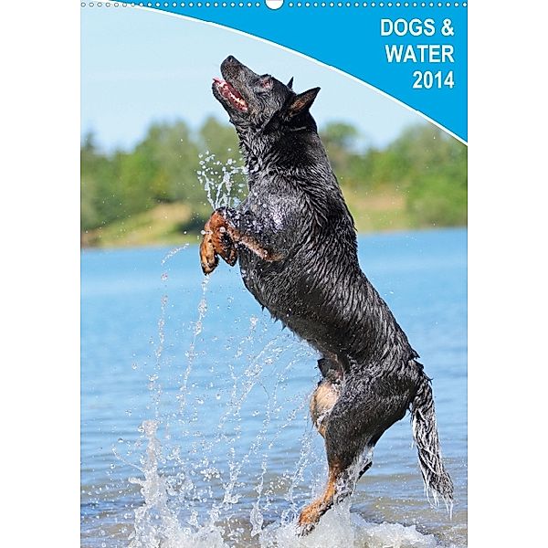 Dogs & Water 2014 (Wandkalender 2014 DIN A2 hoch), Charming Dogpics