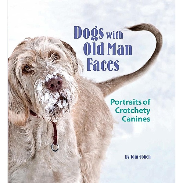 Dogs with Old Man Faces, Tom Cohen