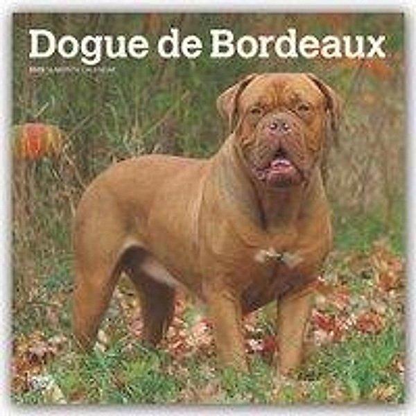 Dogue de Bordeaux - Bordeauxdoggen 2020, BrownTrout Publisher