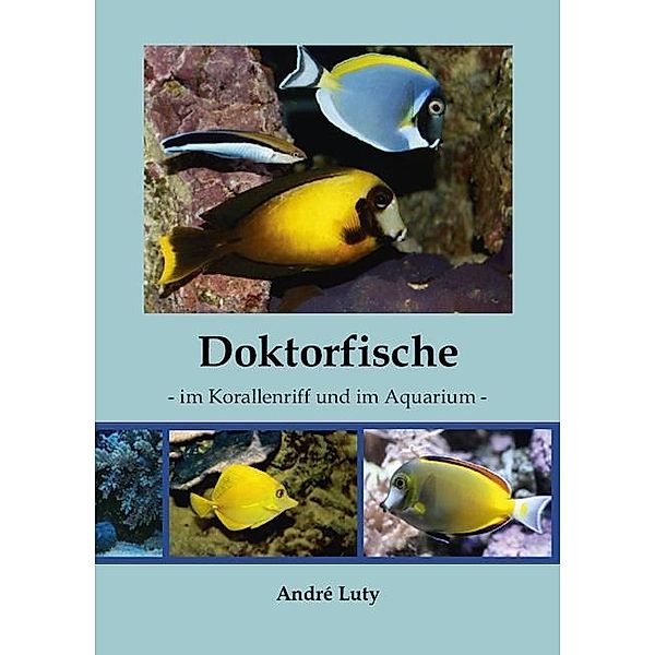 Doktorfische im Korallenriff und im Aquarium, Andre Luty