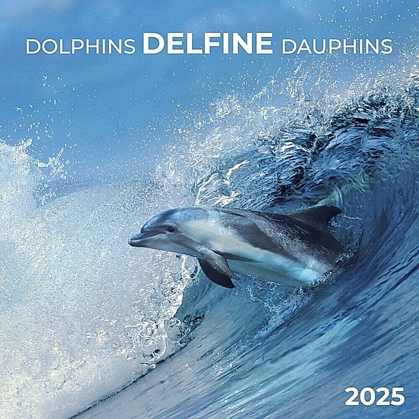Dolphins/Delfine 2025