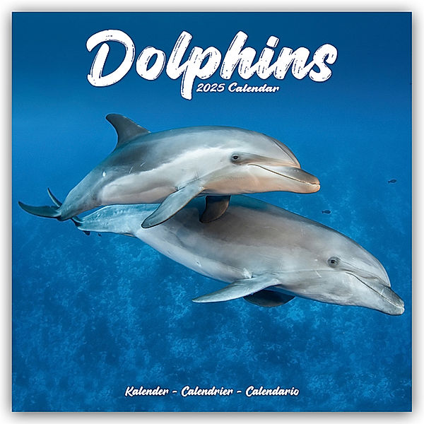 Dolphins - Delfine - Delphine 2025 - 16-Monatskalender, Avonside Publishing Ltd