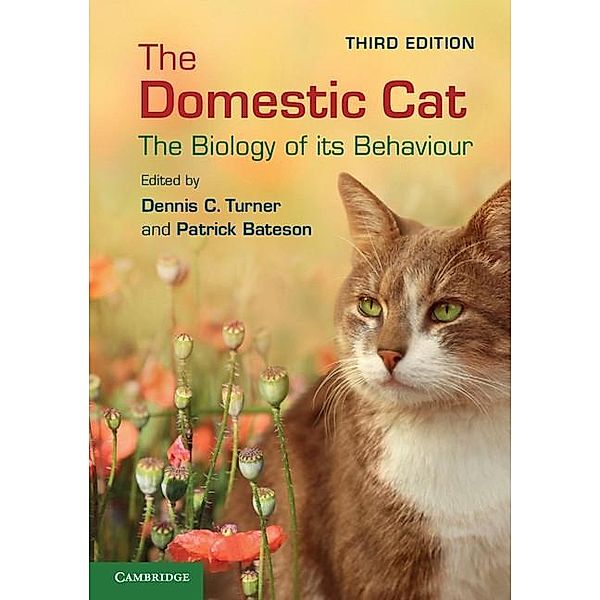 Domestic Cat