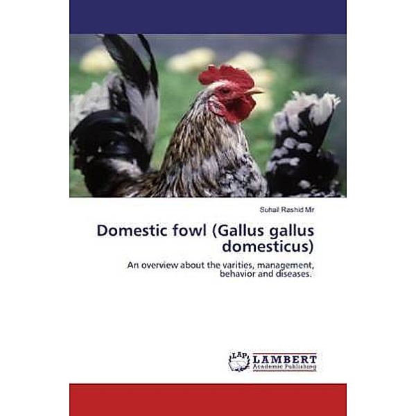 Domestic fowl (Gallus gallus domesticus), Suhail Rashid Mir