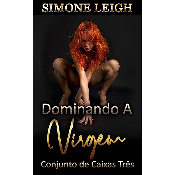 Dominando a Virgem - Conjunto de Caixas Três / Dominando a Virgem, Simone Leigh
