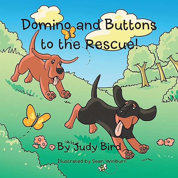 Domino and Buttons to the Rescue!, Sean Winburn, Judy Bird