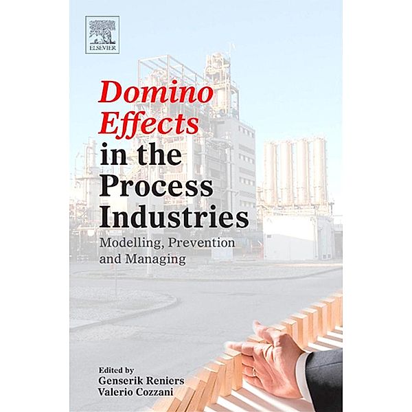 Domino Effects in the Process Industries