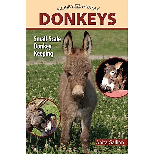 Donkeys, Anita Gallion