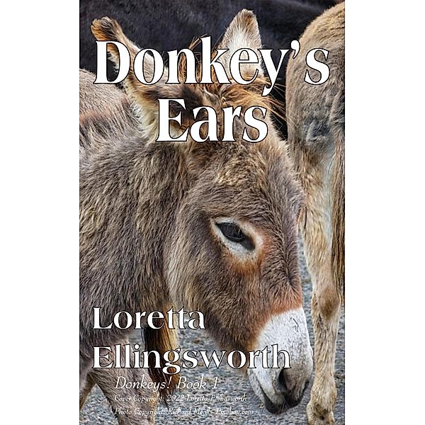 Donkey's Ears (Donkeys!, #1) / Donkeys!, Loretta Ellingsworth