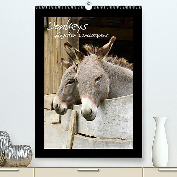 Donkeys - forgotten landscapers (Premium, hochwertiger DIN A2 Wandkalender 2023, Kunstdruck in Hochglanz), Benny Trapp