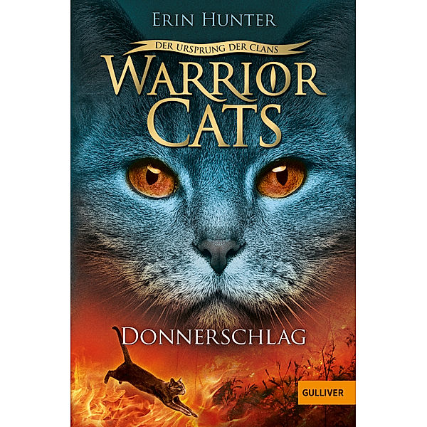 Donnerschlag / Warrior Cats Staffel 5 Bd.2, Erin Hunter