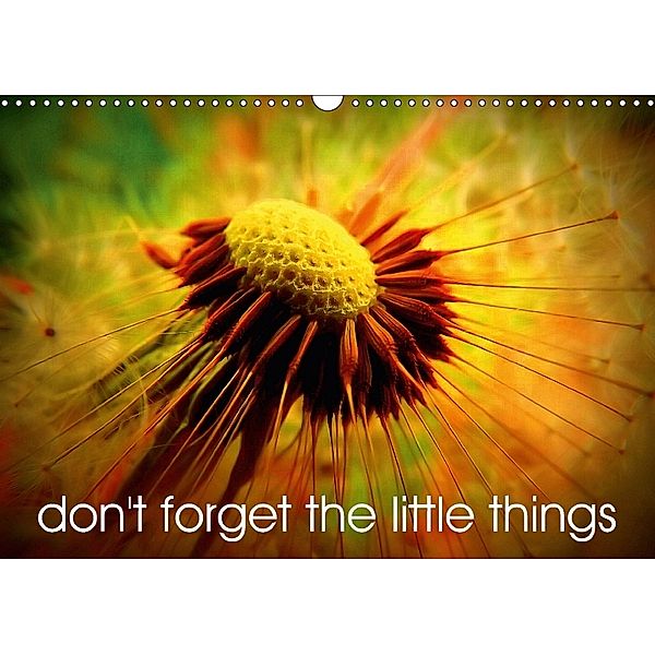 Don't forget the little things (Wall Calendar 2018 DIN A3 Landscape), Broken Toy Company