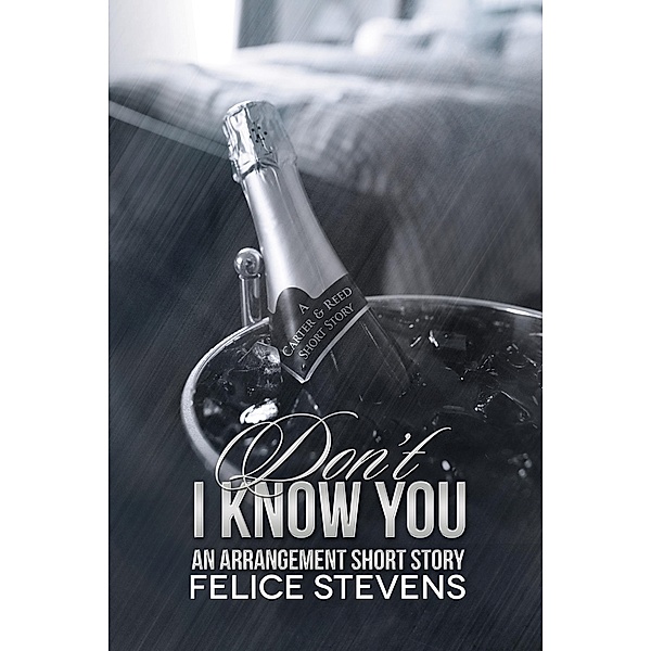 Don't I Know You (Soulmates, #3) / Soulmates, Felice Stevens