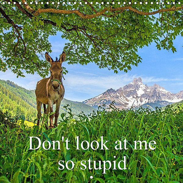 Don't look at me so stupid (Wall Calendar 2023 300 × 300 mm Square), Christa Kramer