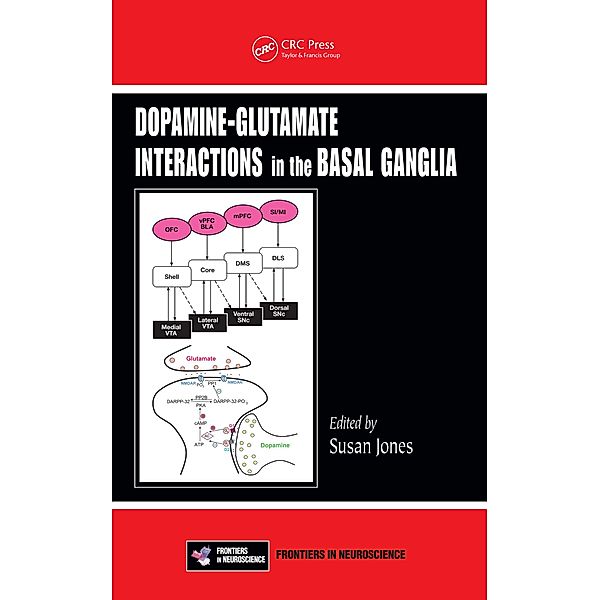 Dopamine - Glutamate Interactions in the Basal Ganglia