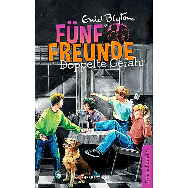 Doppelte Gefahr / Fünf Freunde Doppelbände Bd.6, Enid Blyton