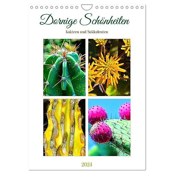 Dornige Schönheiten - Kakteen und Sukkulenten (Wandkalender 2024 DIN A4 hoch), CALVENDO Monatskalender, Nina Schwarze