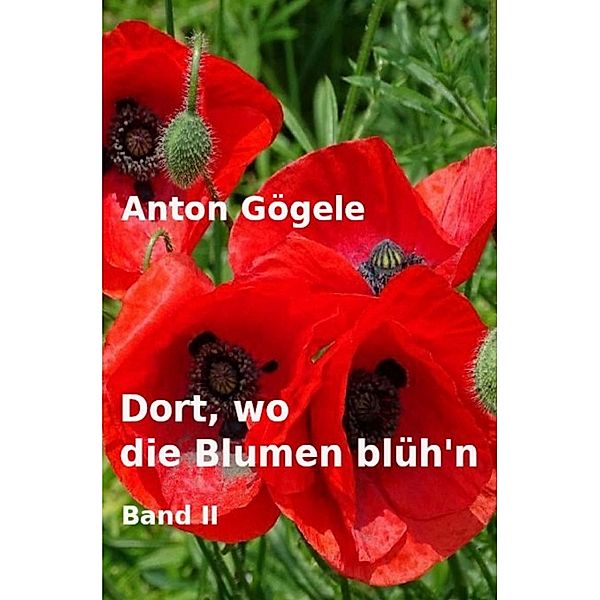 Dort, wo die Blumen blüh'n Band II, Anton Gögele