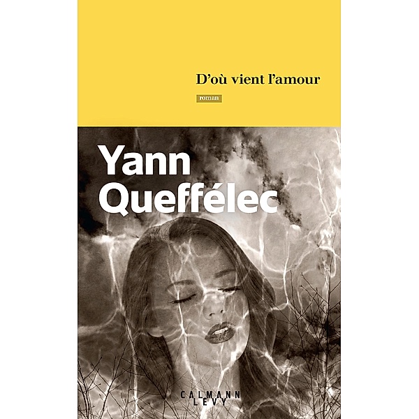 D'où vient l'amour / Littérature, Yann Queffélec