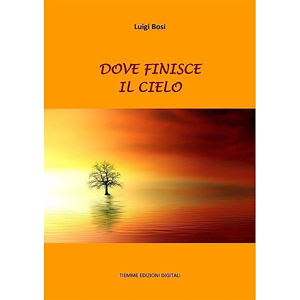 Dove finisce il cielo, Luigi Bosi