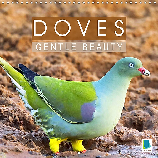 Doves - Gentle Beauty (Wall Calendar 2023 300 × 300 mm Square), Calvendo