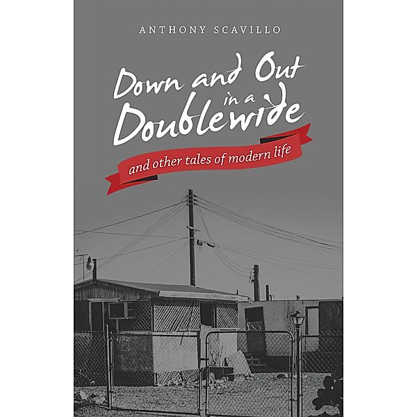 Down and out in a Doublewide and Other Tales of Modern Life, Anthony Scavillo