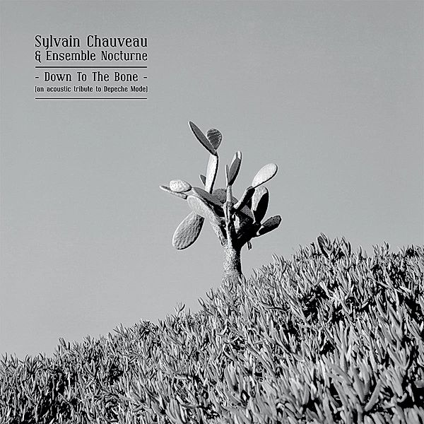 DOWN TO THE BONE (TRIBUTE TO DEPECHE MODE), Sylvain Chauveau & Ensemble Nocturne
