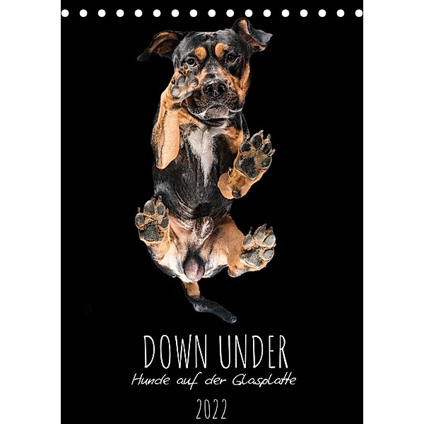 Down Under - Hunde auf der Glasplatte (Tischkalender 2022 DIN A5 hoch), Silke Gareis