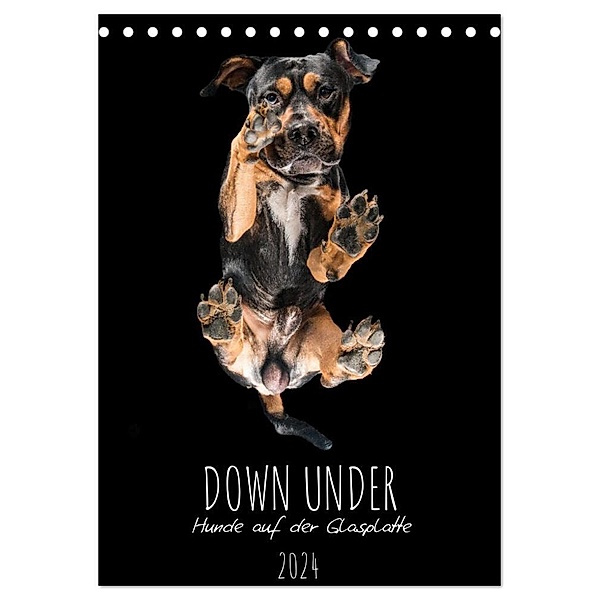 Down Under - Hunde auf der Glasplatte (Tischkalender 2024 DIN A5 hoch), CALVENDO Monatskalender, Silke Gareis
