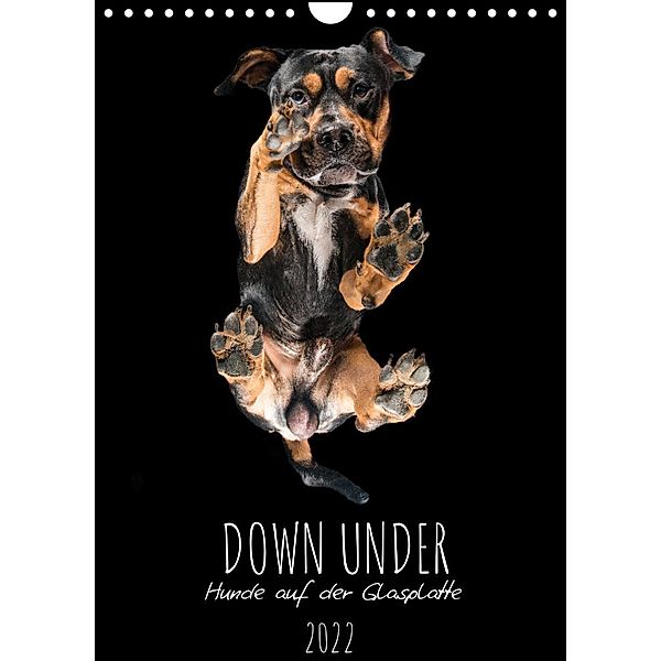 Down Under - Hunde auf der Glasplatte (Wandkalender 2022 DIN A4 hoch), Silke Gareis