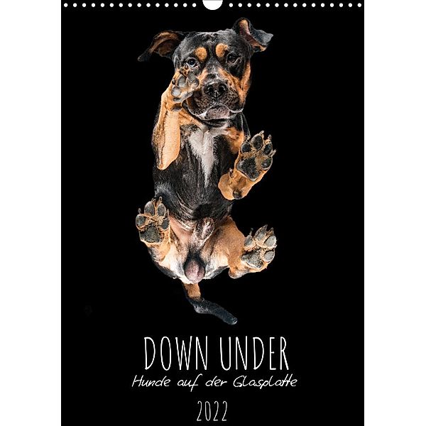 Down Under - Hunde auf der Glasplatte (Wandkalender 2022 DIN A3 hoch), Silke Gareis