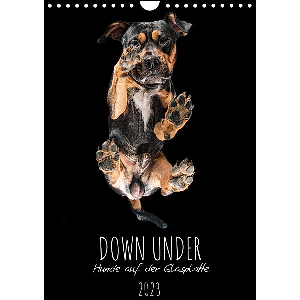 Down Under - Hunde auf der Glasplatte (Wandkalender 2023 DIN A4 hoch), Silke Gareis