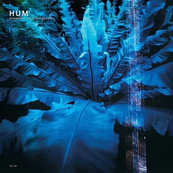 Downward Is Heavenward (Remastered 180g 2lp) (Vinyl), Hum