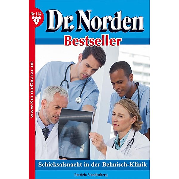 Dr. Norden Bestseller 114 - Arztroman / Dr. Norden Bestseller Bd.114, Patricia Vandenberg